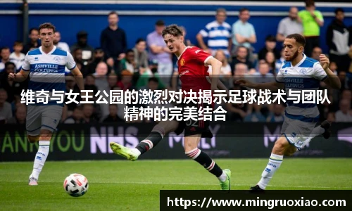 新利体育