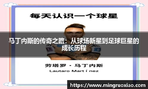 新利体育