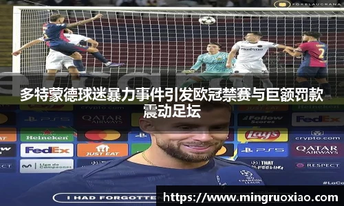 多特蒙德球迷暴力事件引发欧冠禁赛与巨额罚款震动足坛